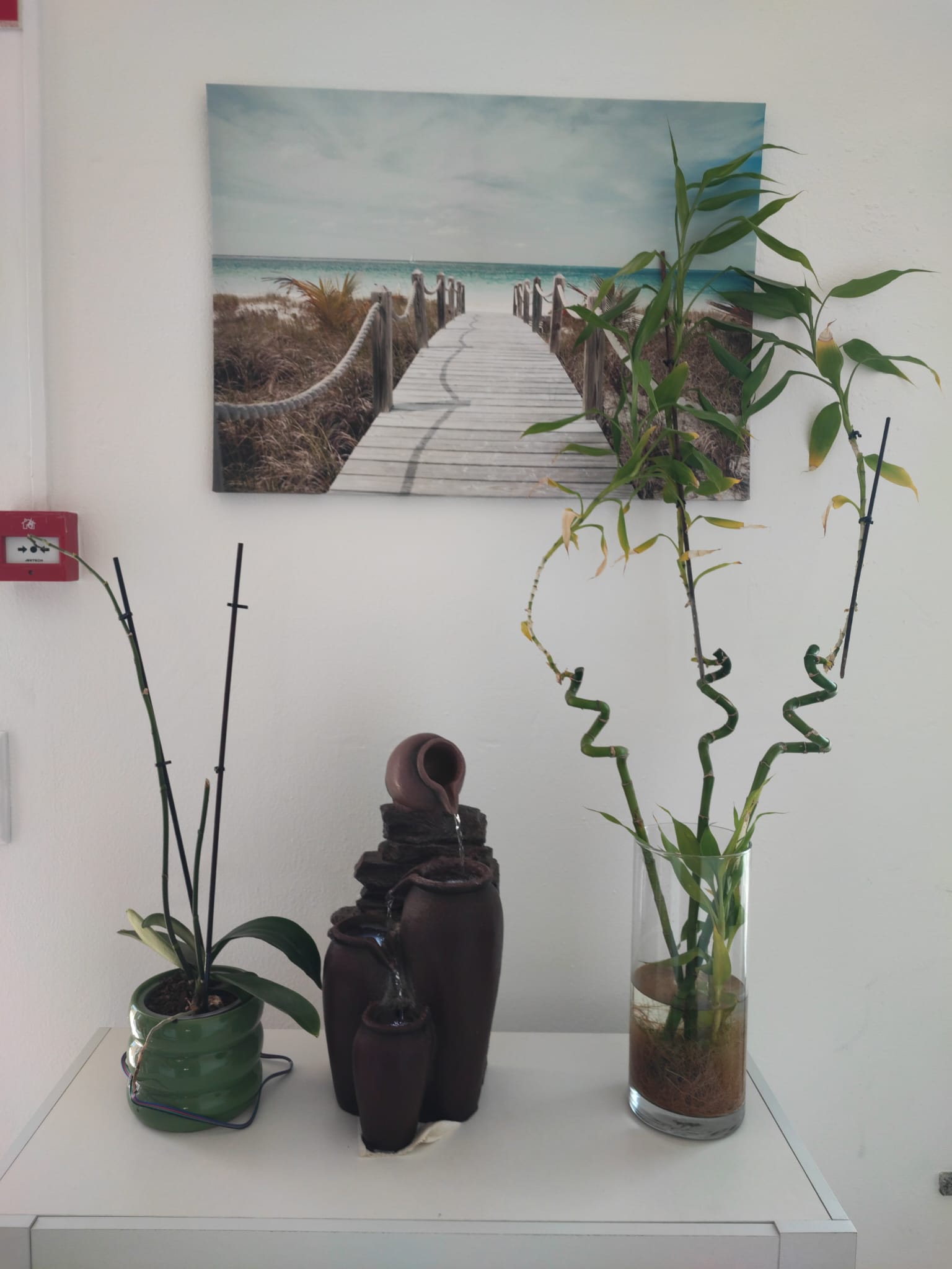 Fonte de água, bambu da sorte e quadro de um passadiço de praia